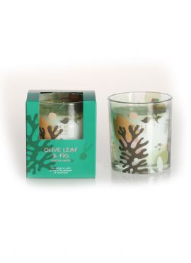 Nice Series Scented Candle(Olive Leaf & Fig)