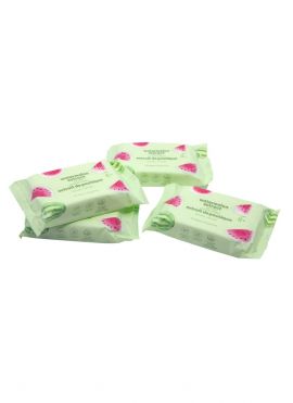 Watermelon Extract Wet Wipes (20 Wipes×4 Packs)