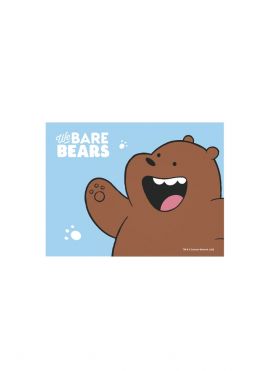 We Bare Bears Collection Tissues (3 Packs)