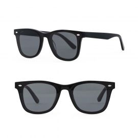 R-020 Wayfarer Sunglasses